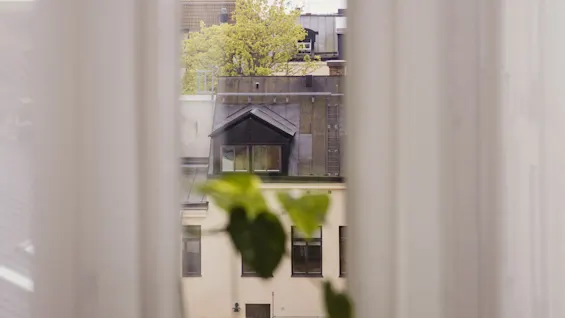 A small potted plant sits on a windowsill, framed by sheer curtains, overlooking a cityscape with buildings and trees in the background.