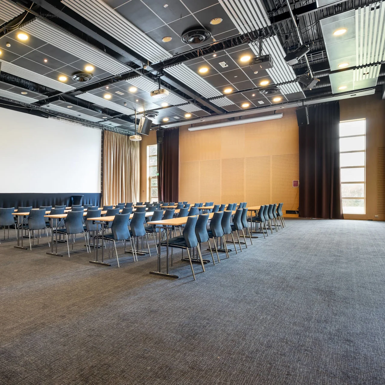 A modern conference room set with rows of blue chairs facing a large white projection screen, with a carpeted floor and ambient lighting.