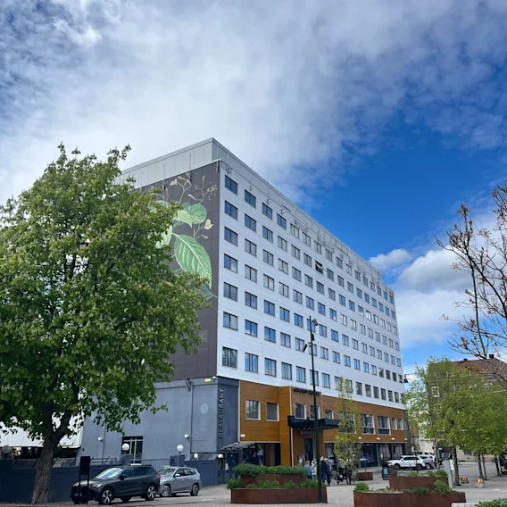 En flervåningsbyggnad visar en stor lövmålning, omgiven av gröna träd i ett stadsområde. Flera bilar är parkerade i närheten. Molnig himmel ovanför.