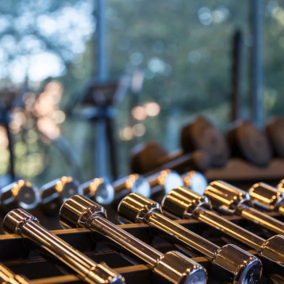 Shiny silver dumbbells rest on racks in a gym, reflecting light from large windows overlooking blurred greenery and gym equipment in the background.