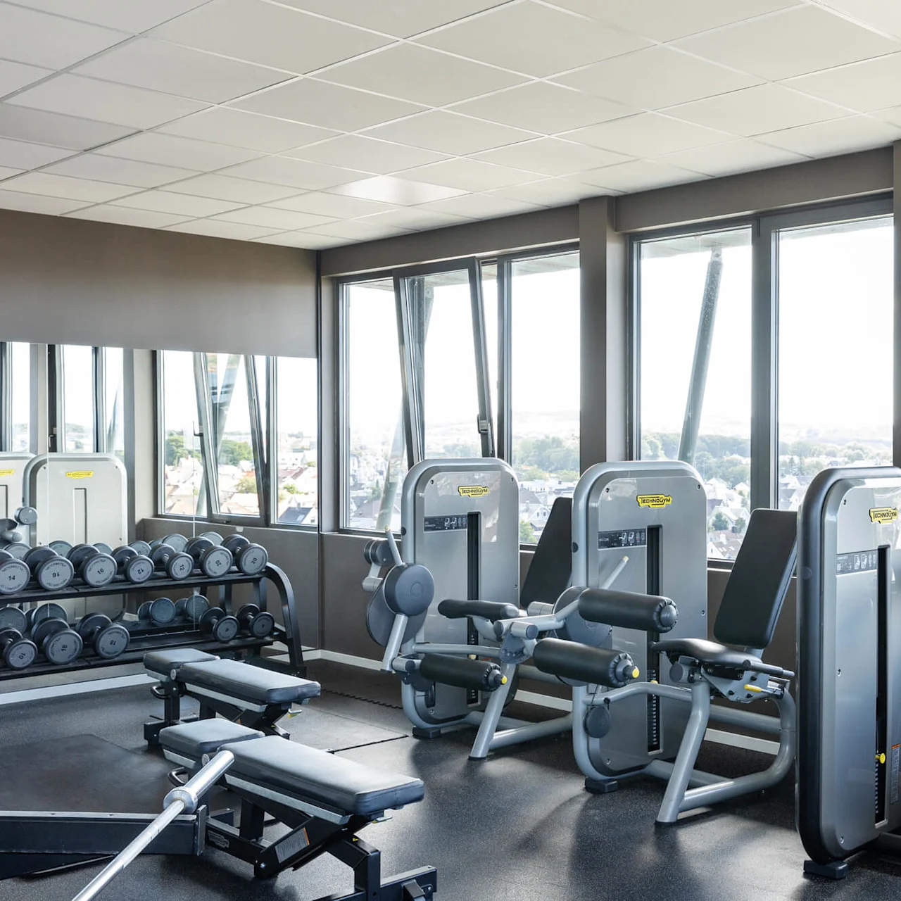 Gym equipment arranged orderly, with machines and dumbbells, positioned by large windows offering a scenic city view. Labels on machines: "TECHNOGYM."