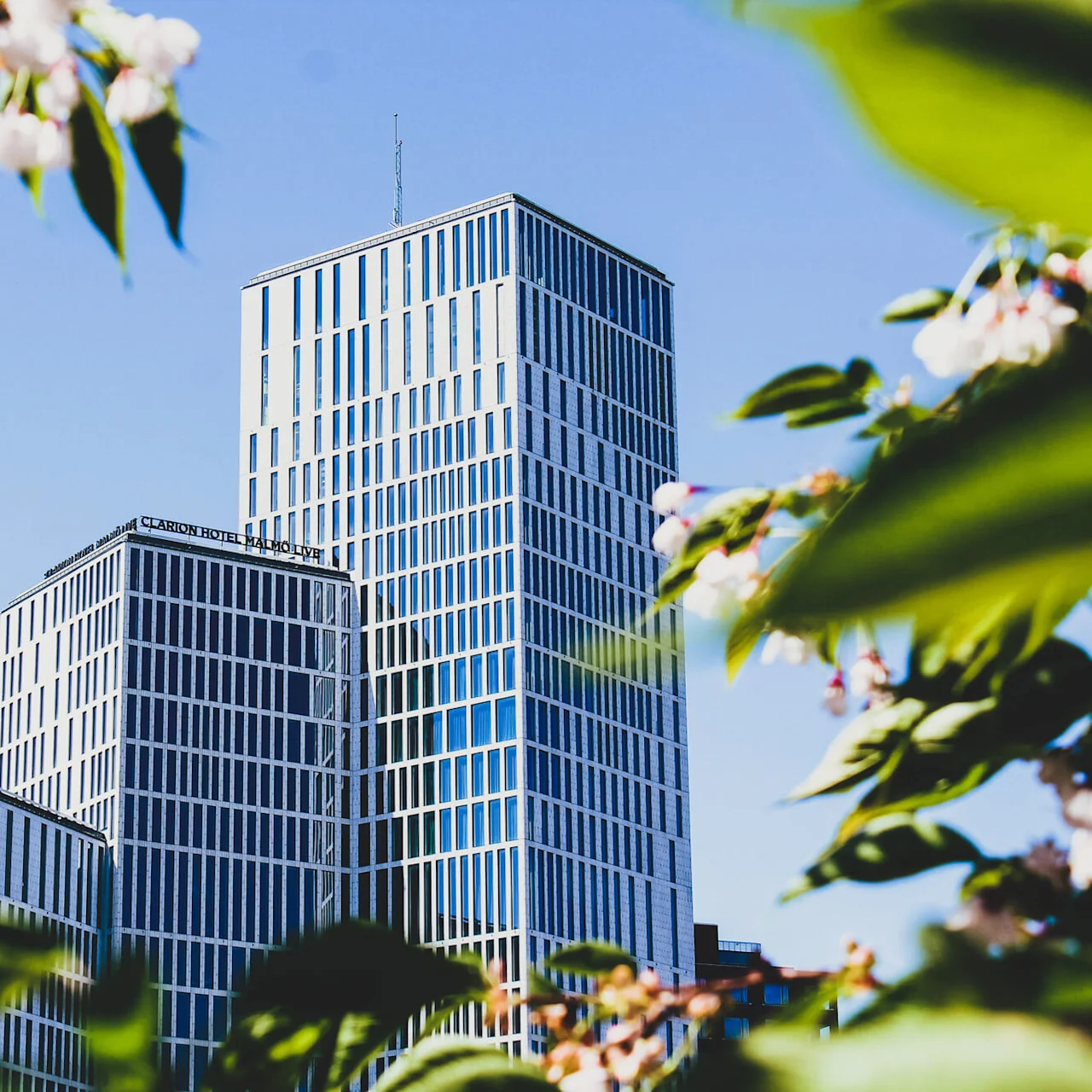 Høye moderne bygninger, står fremtredende, omgitt av frodige grønne blader og blomstrende blomster under en klar blå himmel. Tekst lyder "CLARION HOTEL MALMO LIVE."