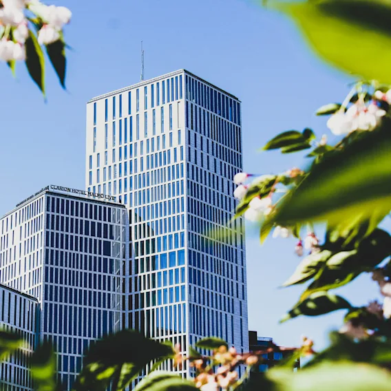 Höga moderna byggnader, står framträdande, omgivna av frodiga gröna blad och blommande blommor under en klarblå himmel. Text lyder "CLARION HOTEL MALMO LIVE."