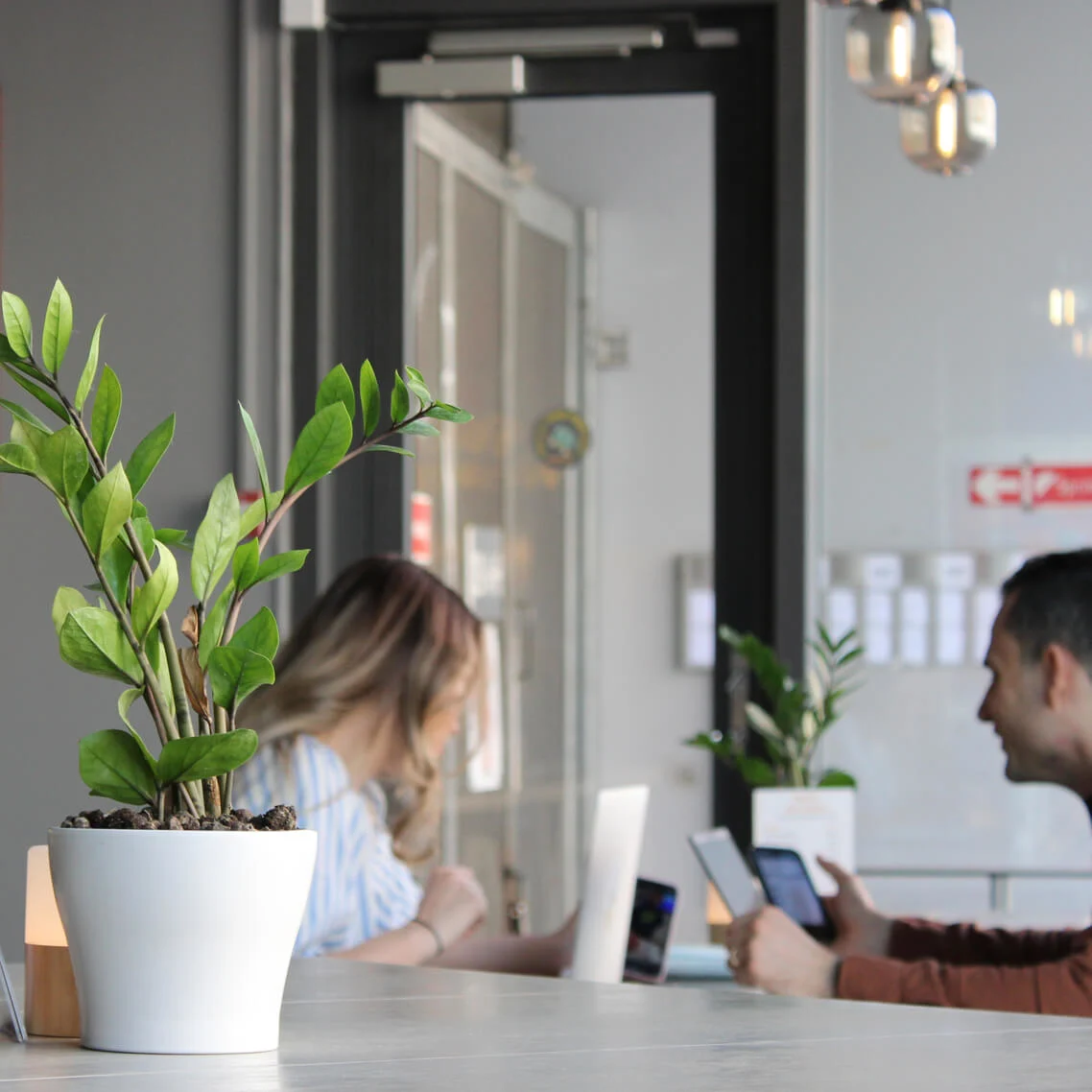 A modern café area with a green plant in a white pot in the foreground. In the background, a menu board displays prices for beer and wine, and two people are seated, working on their respective laptops.