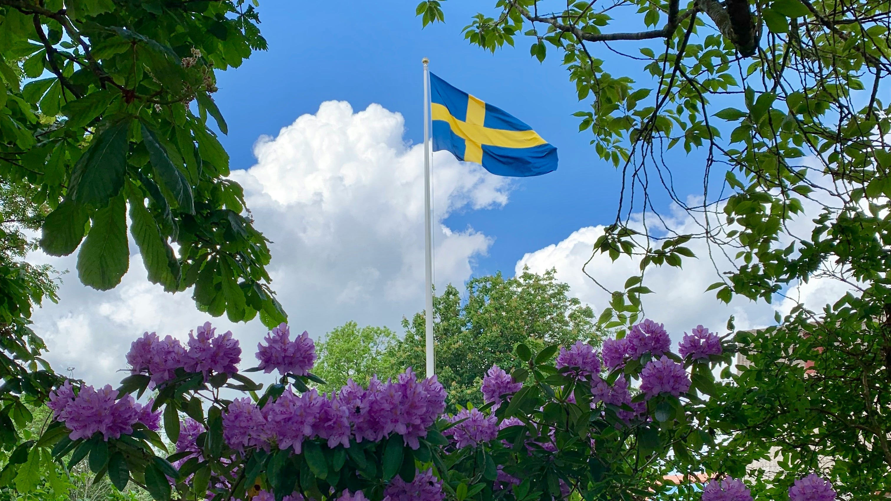 swedish_flag