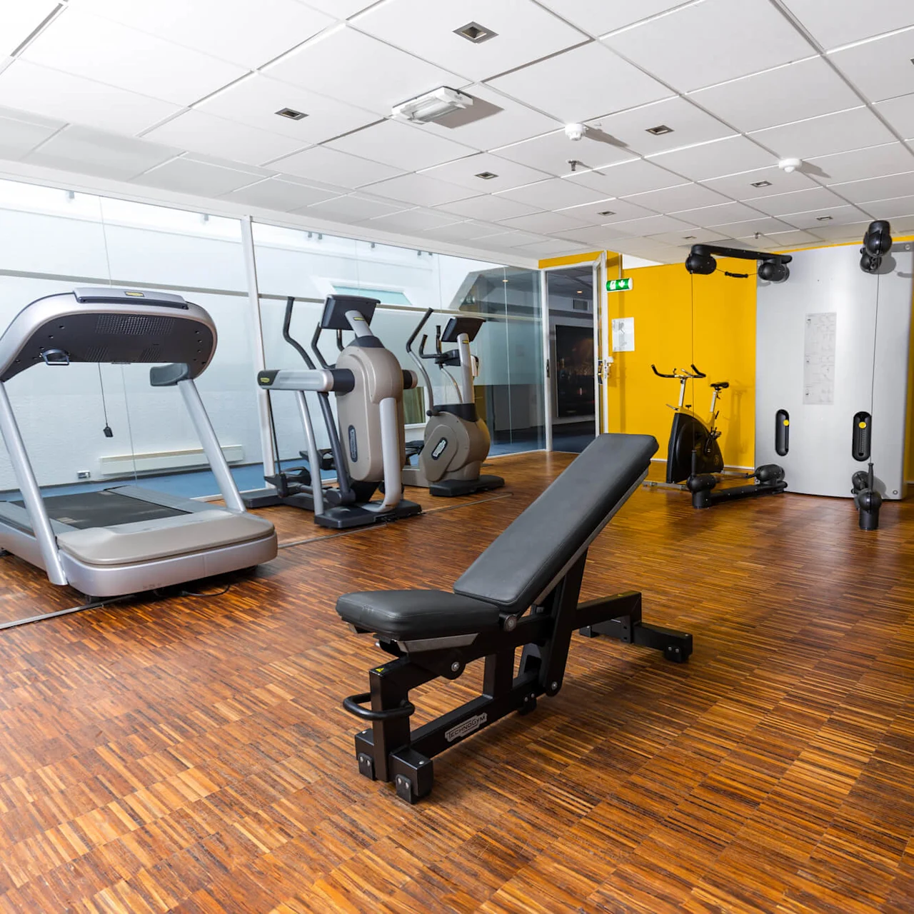 Gym with treadmill, elliptical machines, and adjustable bench on wooden floor; yellow wall in background. Dumbbells are neatly arranged on a rack next to exercise equipment. No text visible.