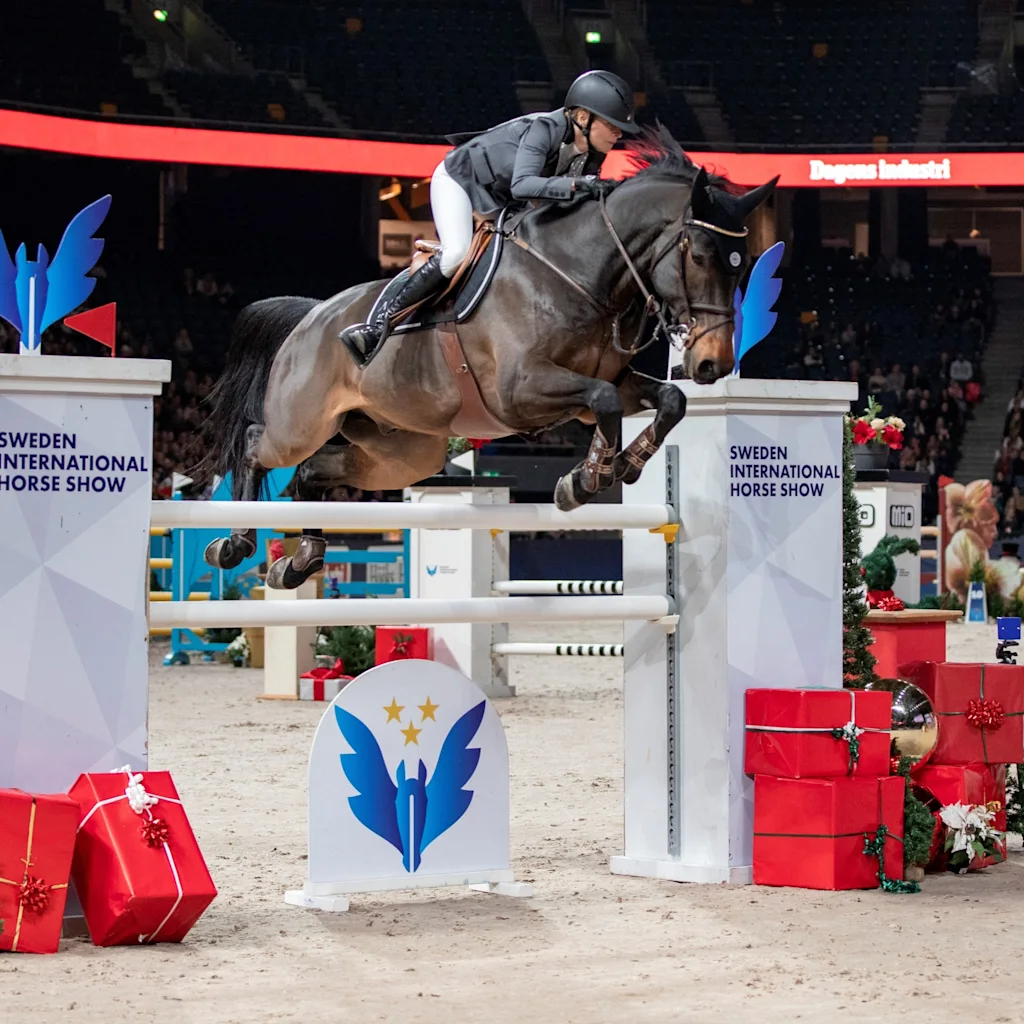 En häst och ryttare hoppar över ett festligt hinder på Sweden International Horse Show, omgivna av publik.