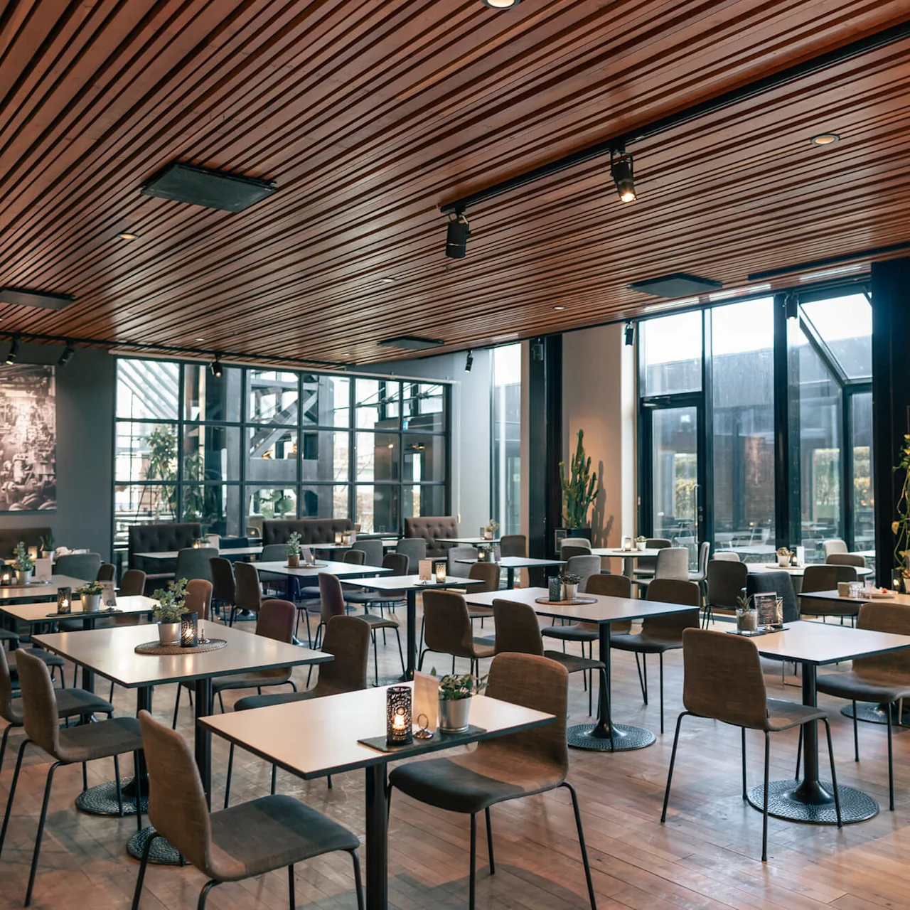 Café tables are arranged neatly with chairs in a modern, spacious room featuring large windows, wooden ceiling, and plants, creating a cozy, inviting atmosphere.