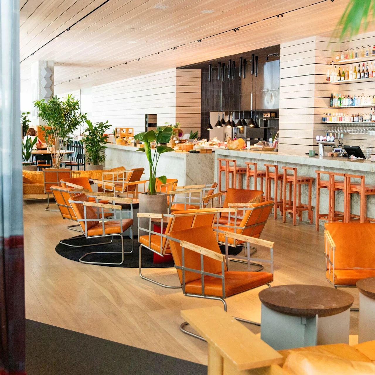 Stylish orange chairs arranged around tables in a modern cafe with light wood paneling and a well-stocked bar. Lush plants add greenery, creating a welcoming atmosphere.