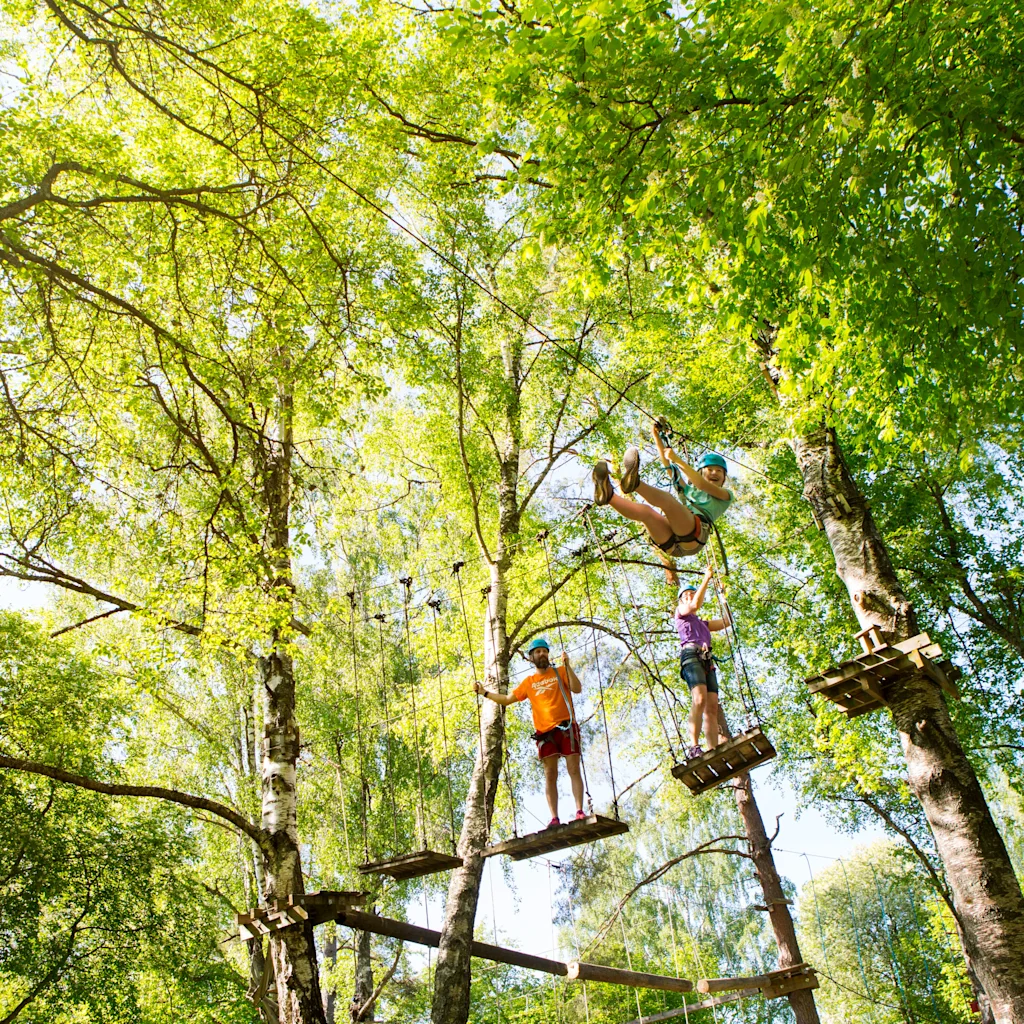 Människor som njuter av en höghöjdsbana på ön Björnö, omgivna av lummiga gröna träd.