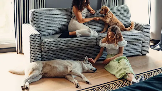 Two women interact with dogs; one sits on a patterned sofa playing with a brown dog, while the other sits on the floor petting a resting white dog. Softly lit room.