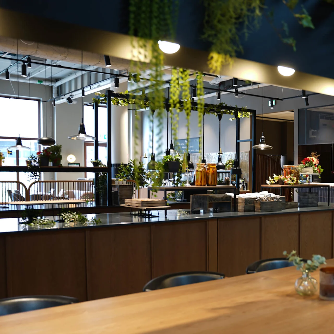 A modern cafeteria with hanging green plants, communal wooden tables, and a serving area with refreshments in a well-lit space.