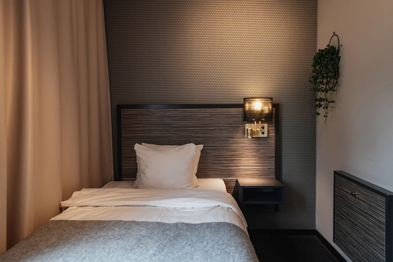 A cozy hotel room with a single bed, bedside lamp, and a plant, creating a comfortable and inviting atmosphere.