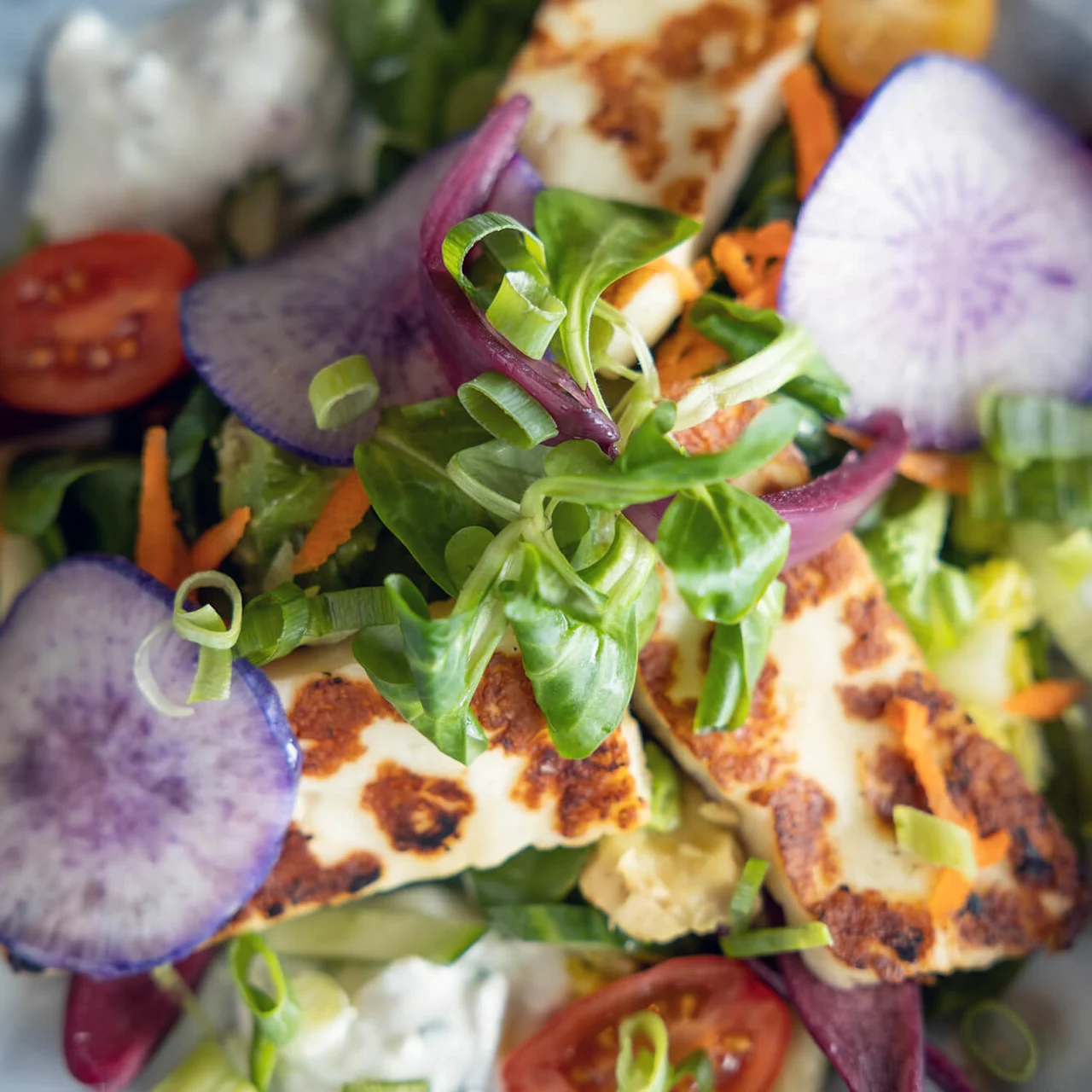 Grillet halloumi på en farverig salat med salatblade, skiver af radise, cherrytomater og strimlede gulerødder på en hvid tallerken.