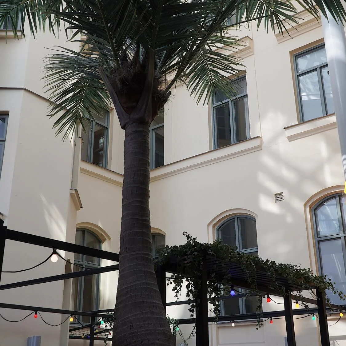 Palm tree stands tall between modern and classic architecture under sunlight; shadows cast on building, colorful string lights in foreground.