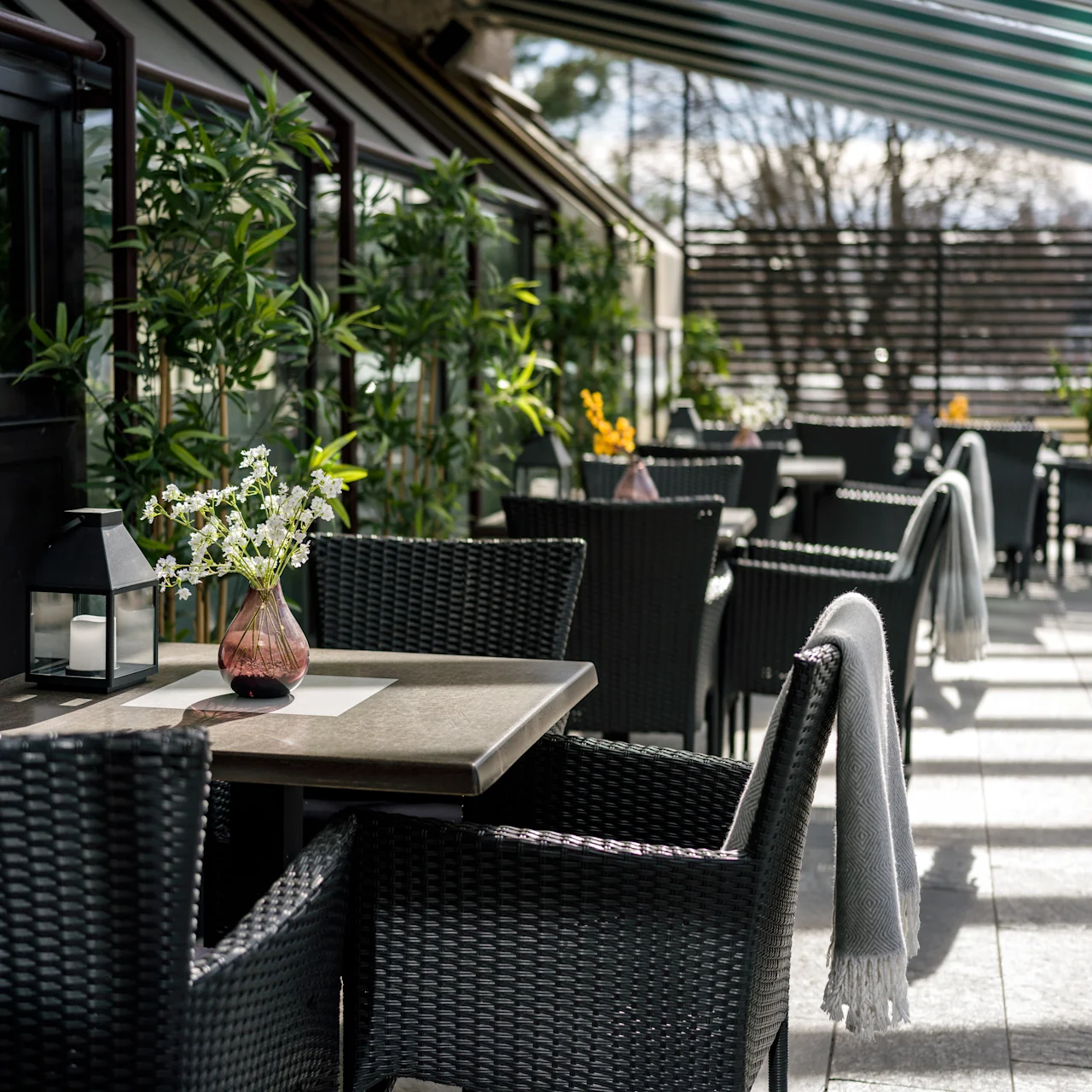 Wicker chairs and tables with vases of flowers sit under striped awnings on a sunlit patio, surrounded by greenery and trees.