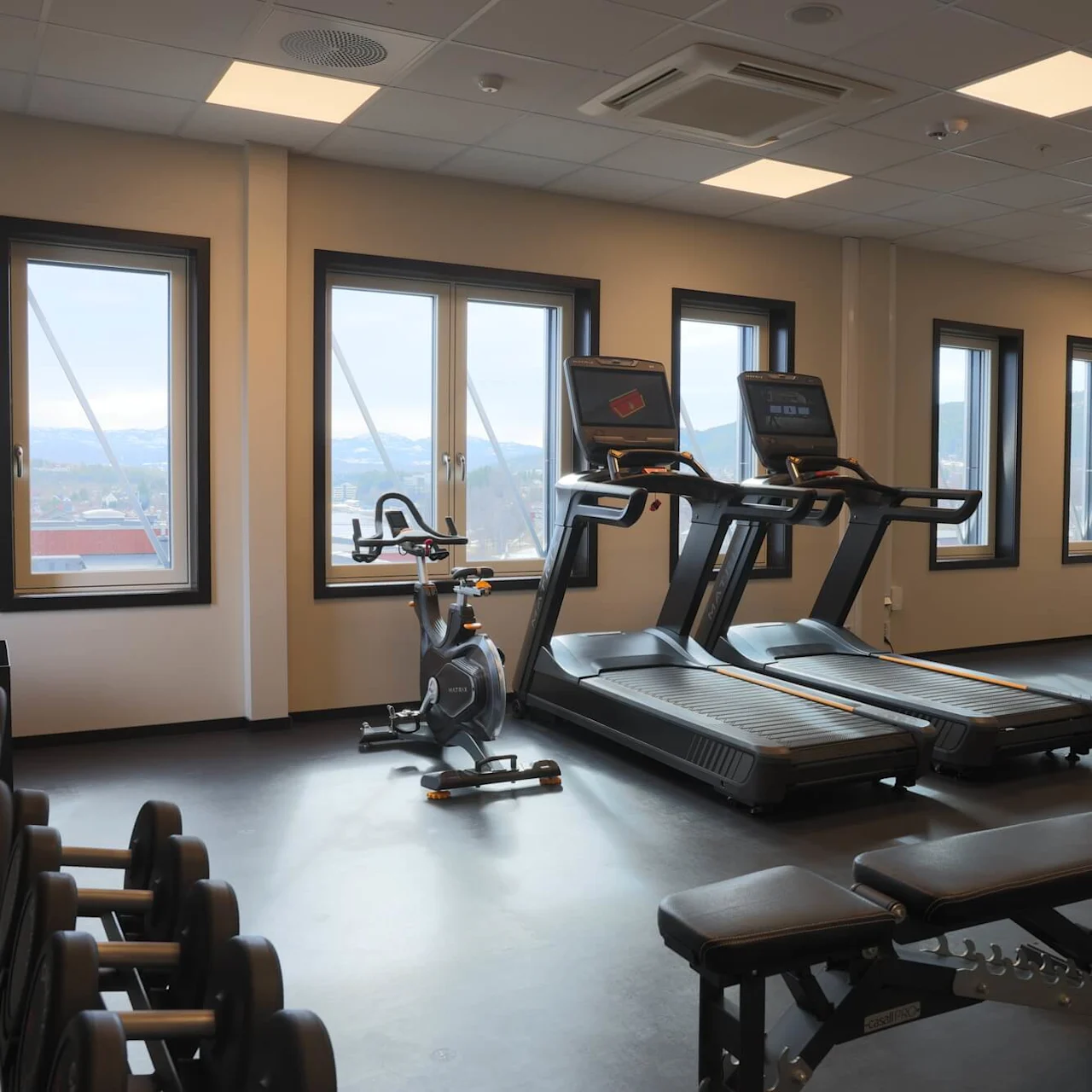 Exercise equipment in an indoor gym with treadmills, weights, and windows overlooking a cityscape.