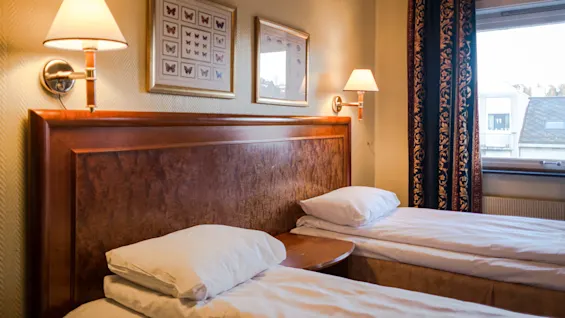 Two neatly made single beds sit alongside a shared wooden headboard, adorned with wall lamps above. Framed butterfly art decorates the wall, and a window with ornate curtains brightens the room.