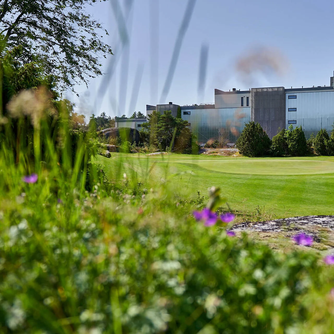 Gress omgir en golfbane med en sandbunker. I bakgrunnen står en stor industribygning blant trær under en klar himmel.