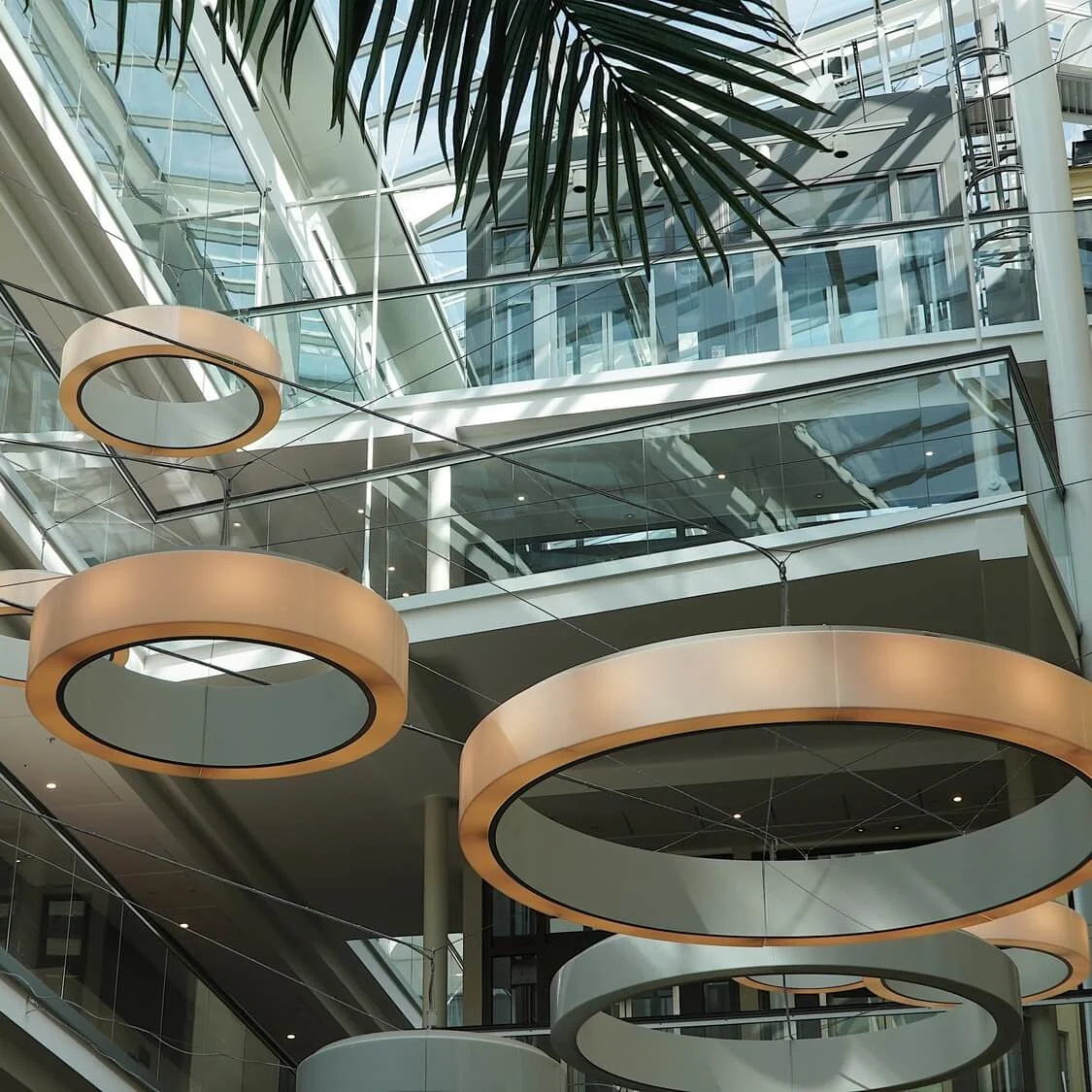 Circular modern light fixtures hang in a multi-level indoor space with glass railings and palm foliage.