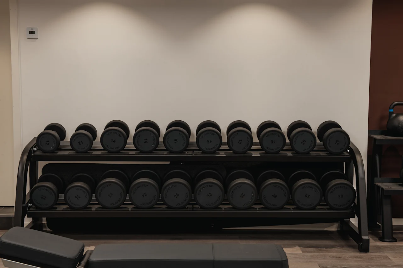 Ett välorganiserat hantelställ i ett gym, med en viktbänk i förgrunden, redo för ett träningspass.