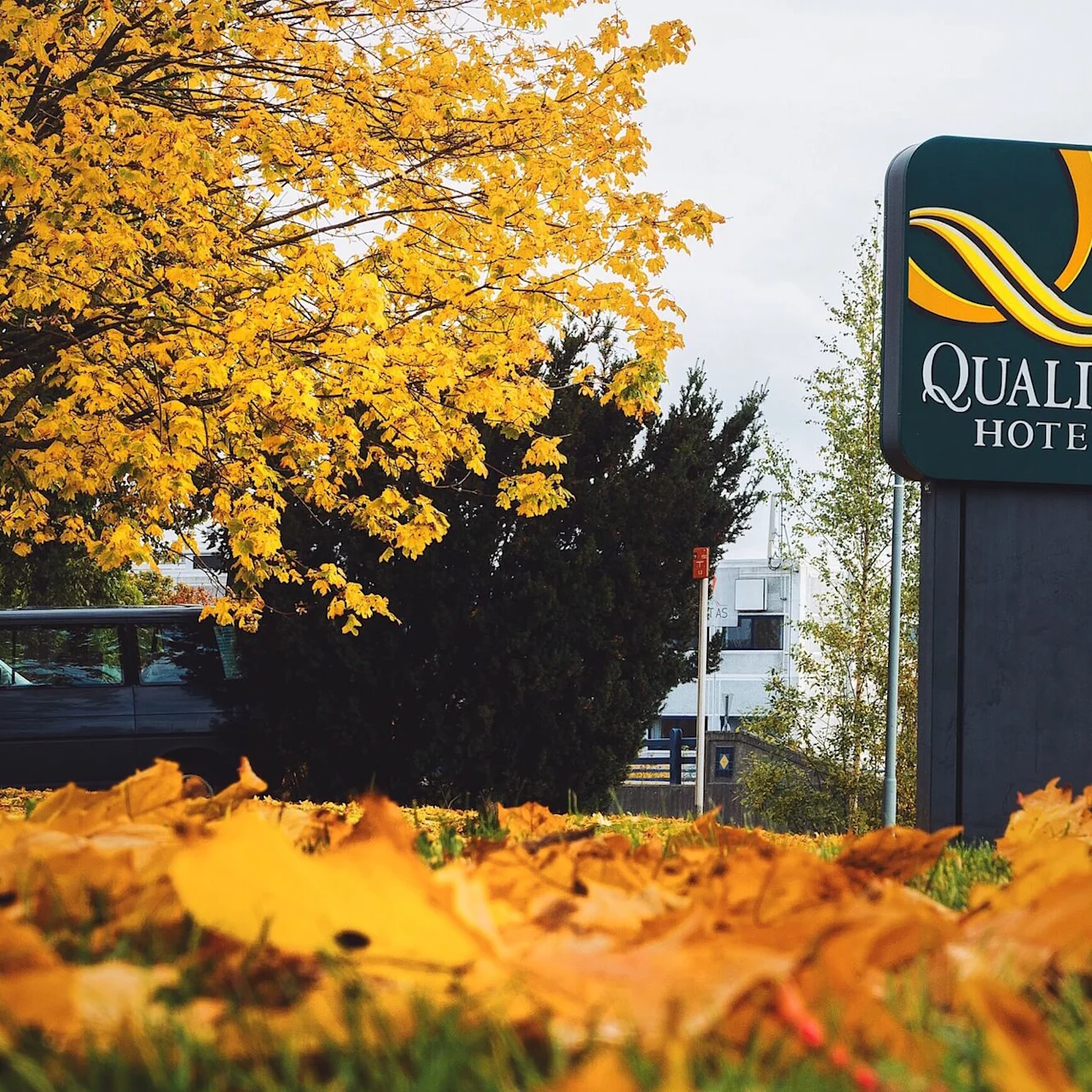 Et skilt med teksten "QUALITY HOTEL" står ved en vej. Gule efterårsblade dækker jorden, og et træ med livligt løv er tæt ved under en overskyet himmel.