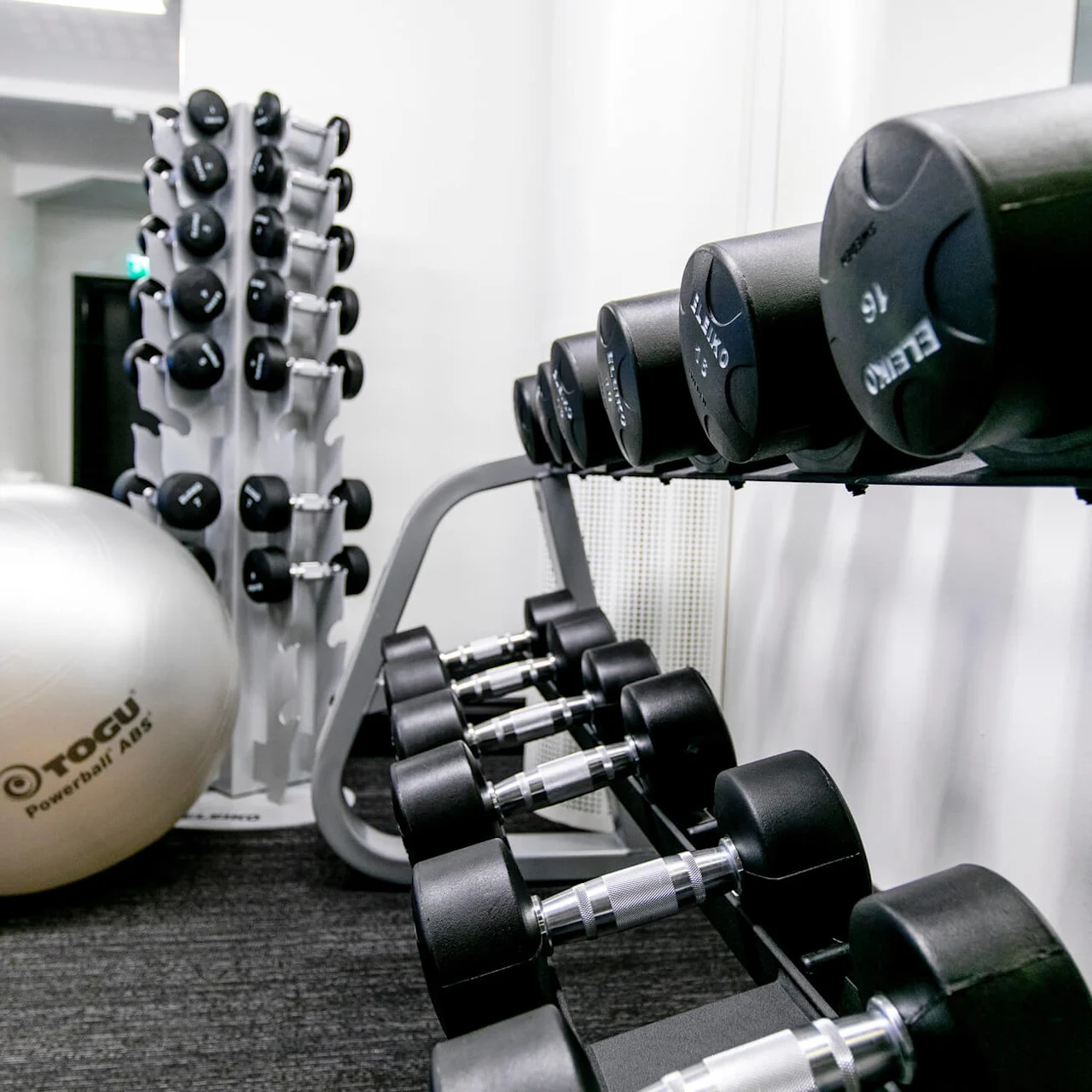 Dumbbells hviler på stativer, omgitt av et treningsstudio med utstyr. En stor treningsball merket "TOGU Powerball ABS" ligger på gulvet.