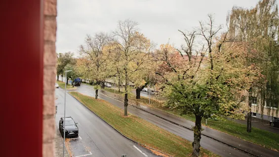 An autumn street scene with vibrant trees and a parked car, viewed from a building. add Home Hotel Kung Oscar.