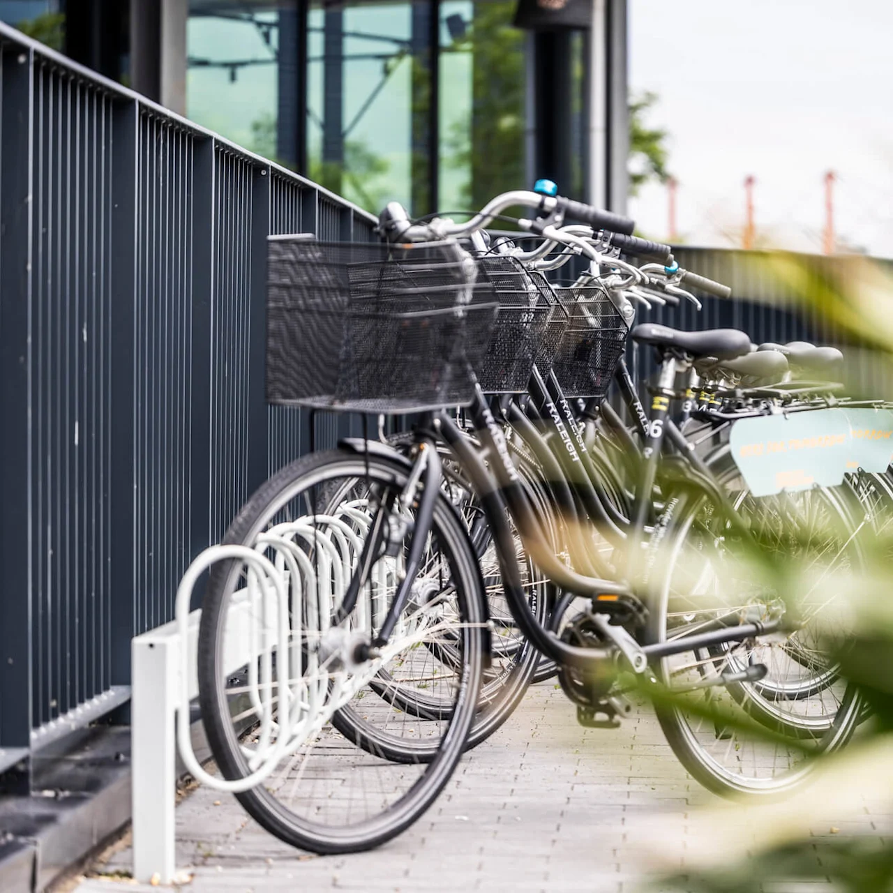 En rekke sykler parkert i stativer utenfor bygningen, klare til bruk for gjester. Grønne planter gir en frisk innramming av bildet.