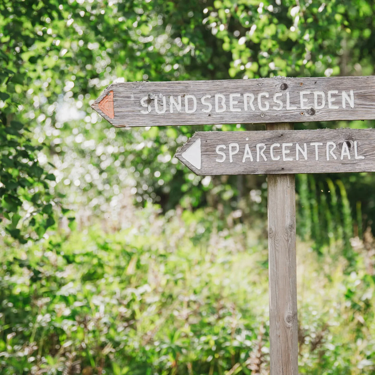 En treskilt i en frodig grønn skog peker mot "SUNDSBERGSLEDEN" og "SPÅRCENTRAL." En blå turskilt med en turgåer vises.