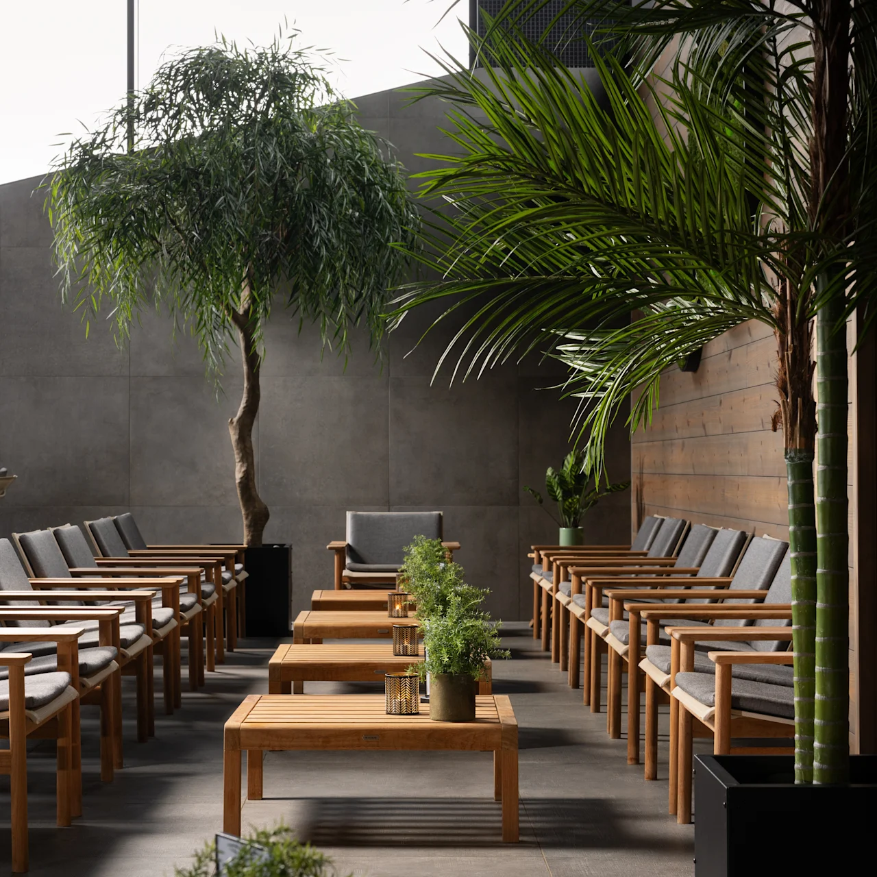 Stole og små borde arrangeret i rækker, omgivet af potteplanter i et moderne rum med store vinduer og en betonvæg, som skaber en rolig, naturlig atmosfære.