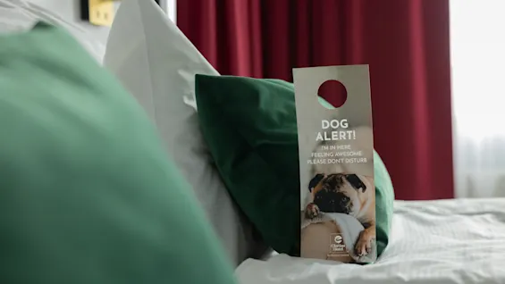 Ett mysigt hotellrum med inbjudande gröna och vita kuddar, med en rolig "Dog Alert!"-skylt med en avslappnad mops som ber om avskildhet.