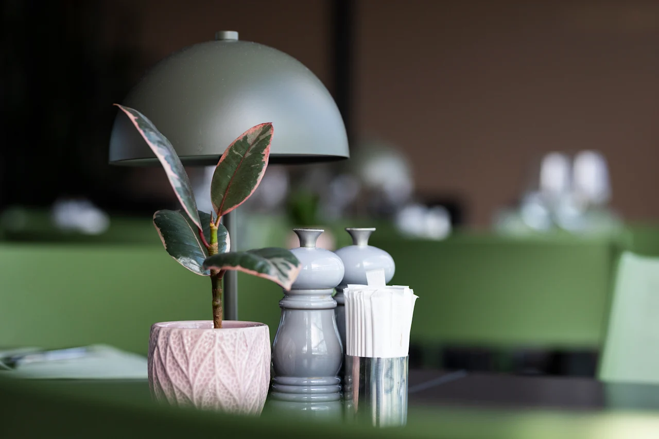 En koselig borddekking med en potteplante, salt- og pepperbøsser og servietter, med en myk lampe og grønn innredning i bakgrunnen.