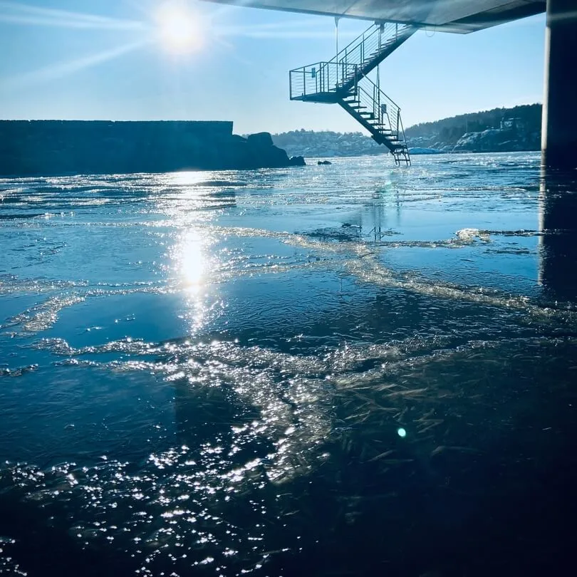 En metaltreppe strækker sig fra en fremspringende struktur ned i glitrende isvand, med solskin og klar blå himmel.