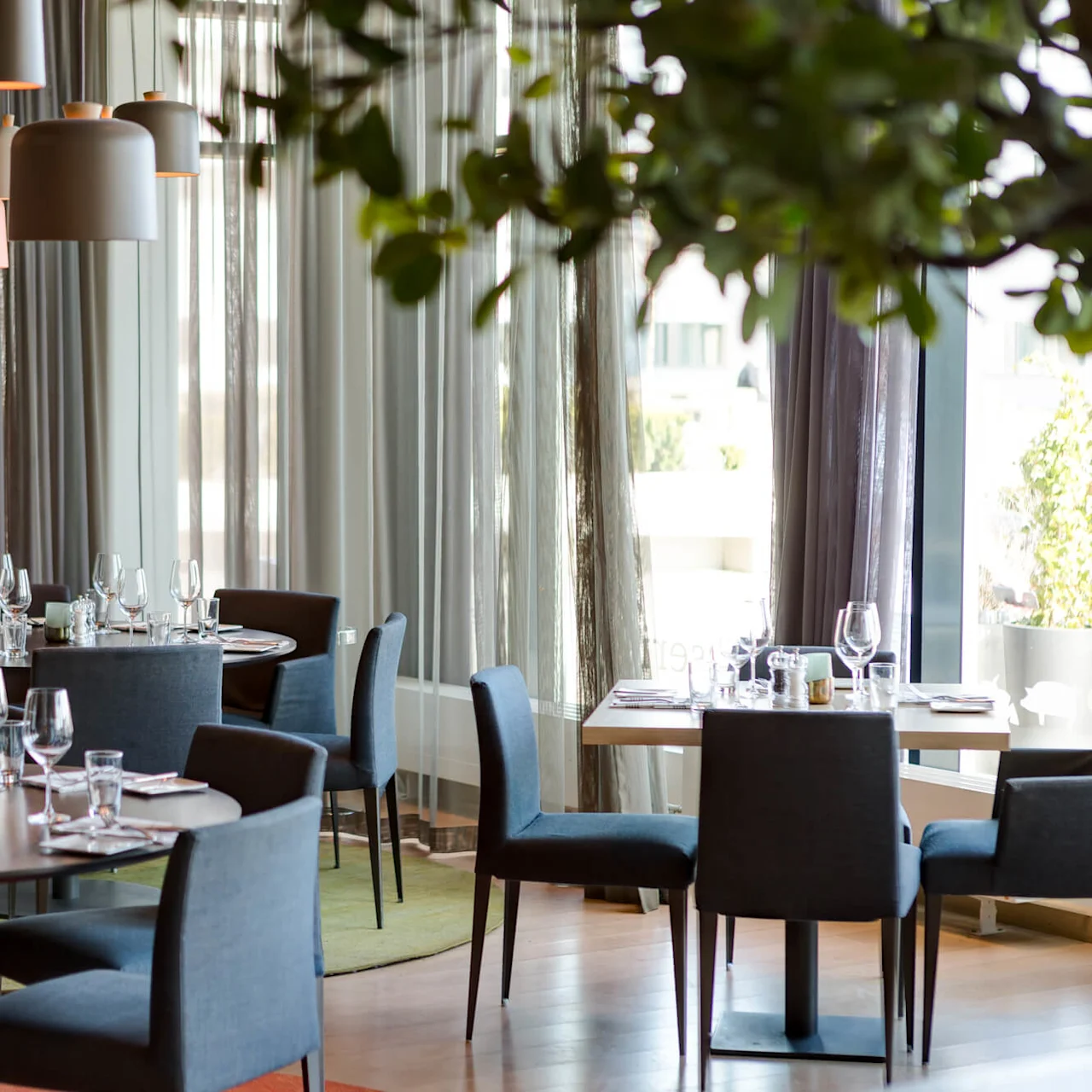 Tables set with glassware and napkins, surrounded by blue chairs in an elegant restaurant. Hanging lights and sheer curtains provide a soft, modern ambiance. Green plant leaves partially visible.