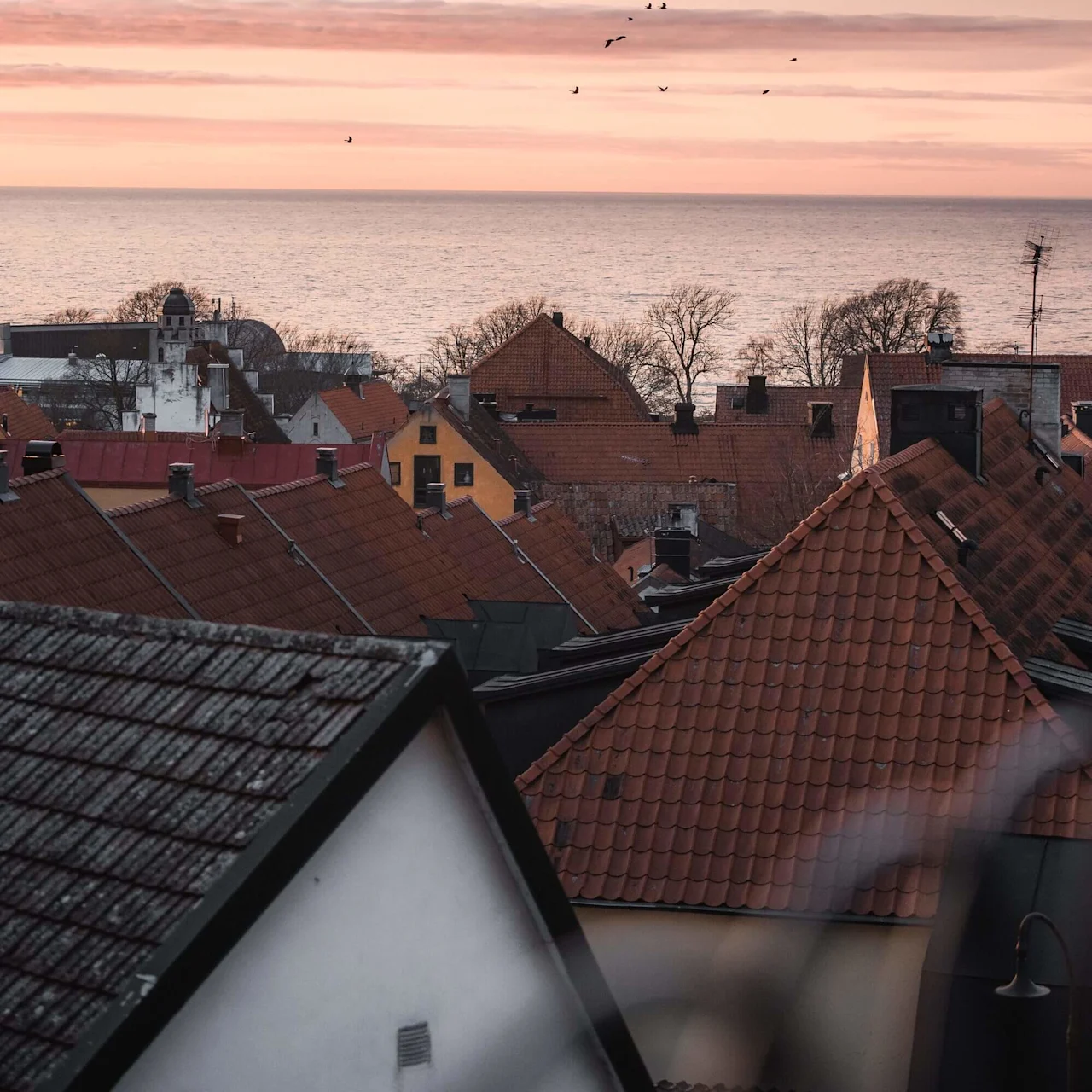 Tagene står overfor et roligt hav, mens fugle flyver over en himmel i pastelfarver, hvilket skaber en fredelig by-scene ved havet ved solnedgang.