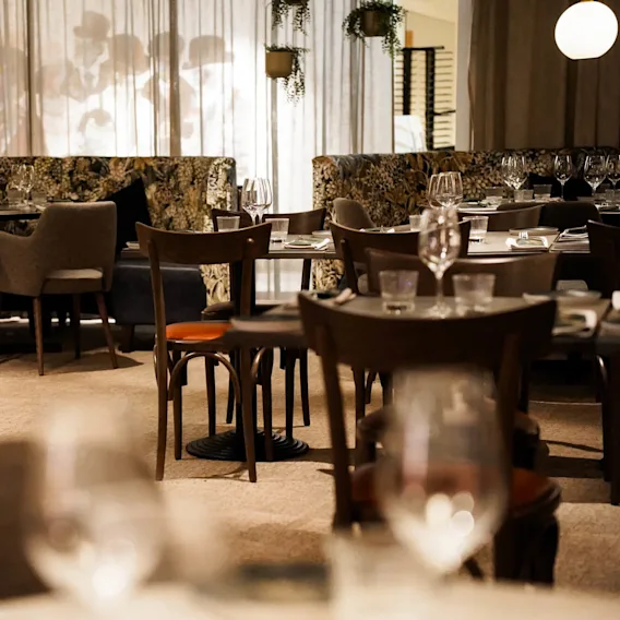 Bord och stolar är elegant arrangerade i en svagt upplyst restaurang, omgivna av hängande växter och dekorativ belysning, vilket skapar en mysig och intim atmosfär.