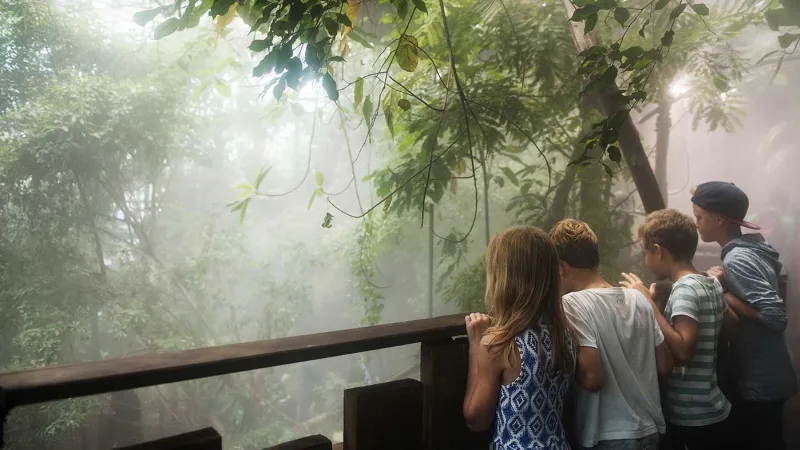 Rainforest overview at Universeum