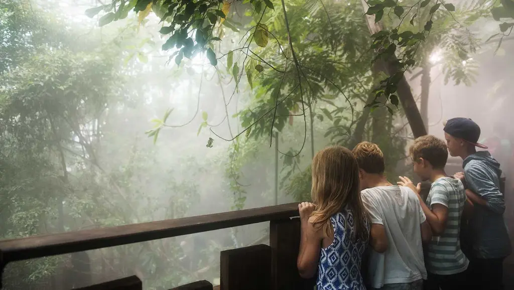 Rainforest overview at Universeum