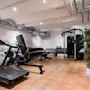 Løbebånd og motionscykel placeret i en kældertræningscenter med sten vægge og loftlamper. Håndvægte og fitnessmaskiner er pænt arrangeret langs det flisebelagte gulv, ved siden af en potteplante.