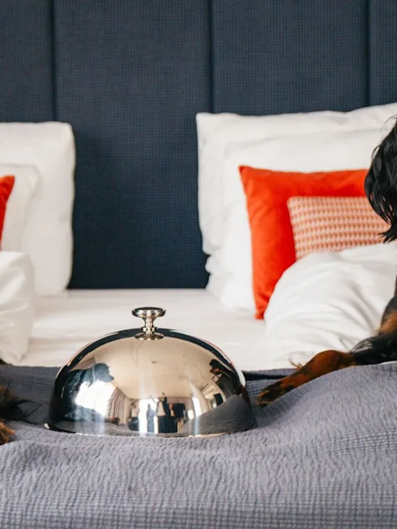 Two dogs in bed