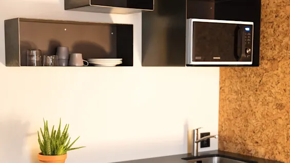 A kitchen countertop holds a potted plant. Above are shelves with cups and plates, and a microwave. The context includes a cork wall panel.