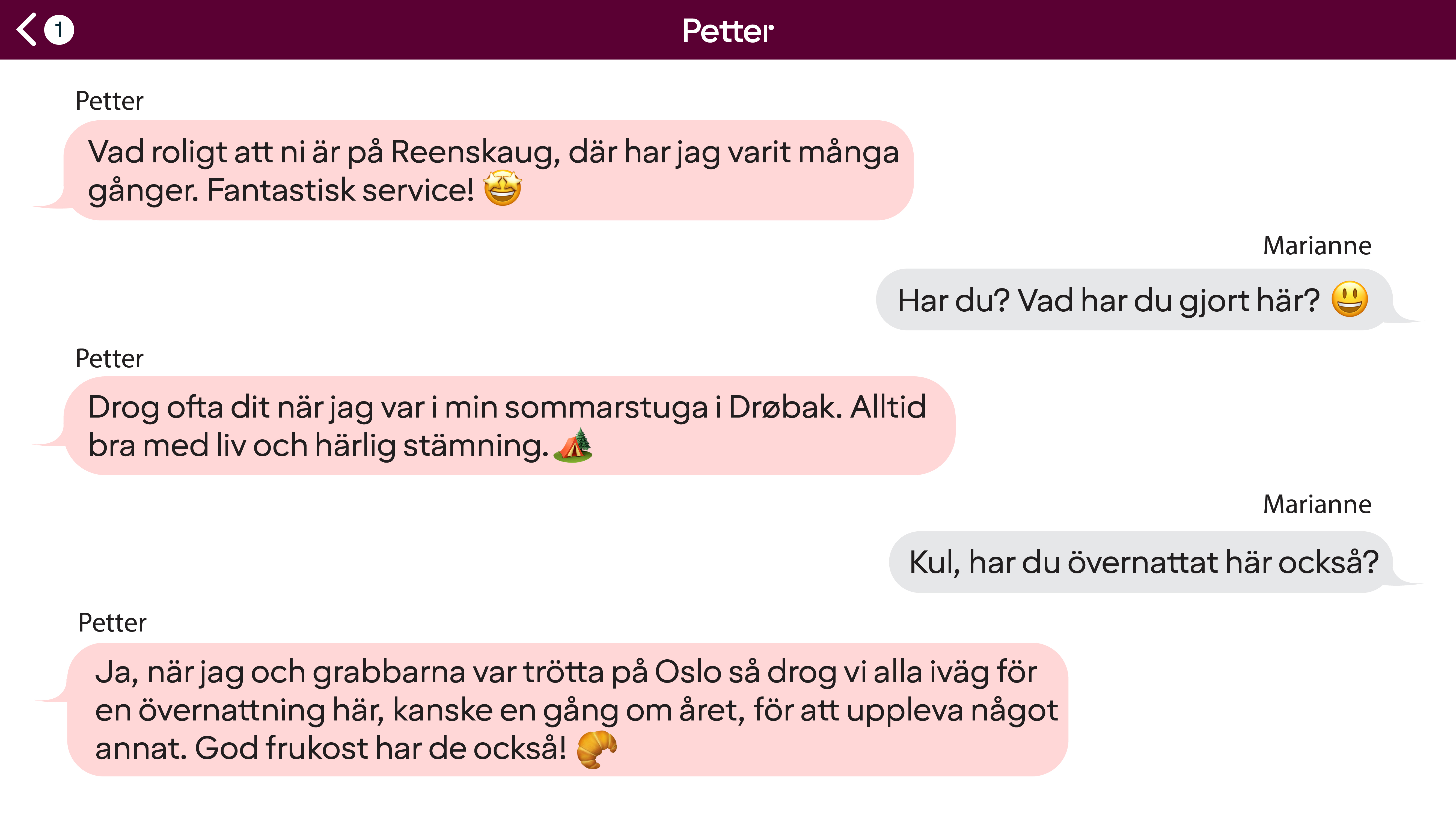 Reenskaug chat SE