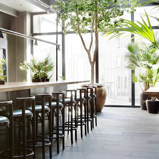 En lang bardisk av tre med krakker, dekorert med potteplanter og glass. Den ligger i en lys, moderne kafe med store vinduer og planter.