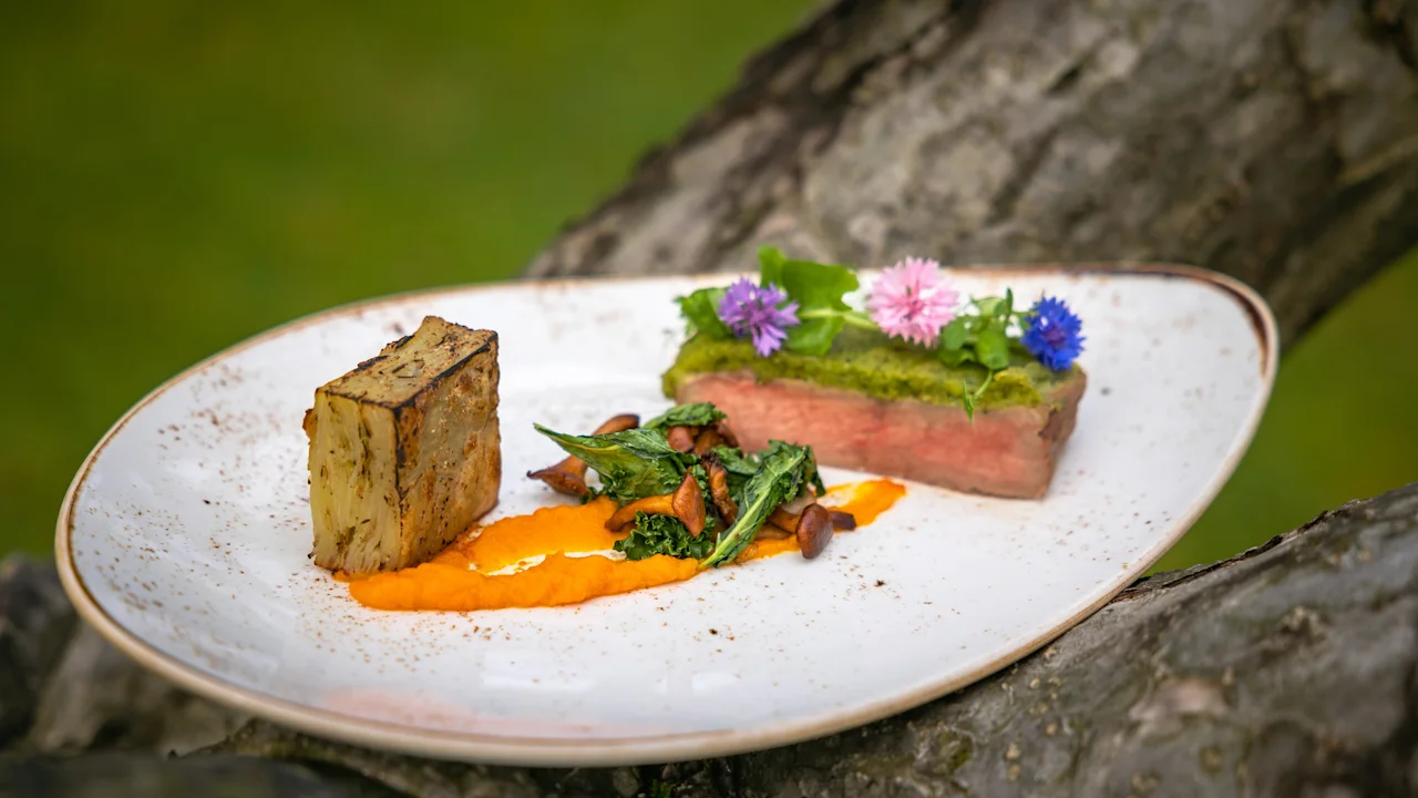 En gourmeträtt på en vit tallrik med lager av grönsaker och kött, garnerad med örter och blommor, placerad på en rustik trädgren utomhus.