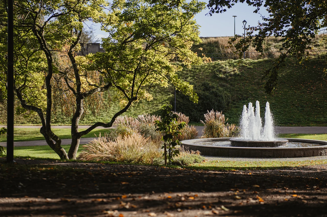 En fredelig parkscene med et vandfontæne, livlige grønne træer og prydgræsser på en solrig dag.