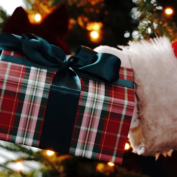 Jultomten som räcker över en rutig julklapp framför en julgran.