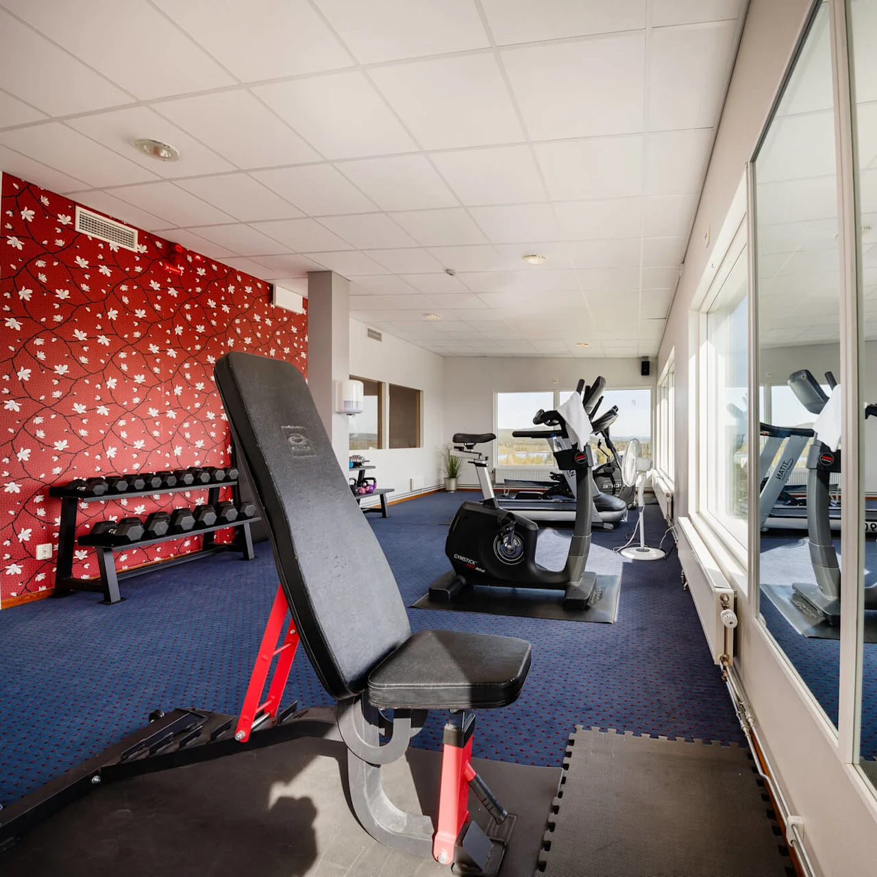 En bänkpress står i ett gym med röd blommig tapet, omgiven av hantlar, motionscyklar och stora fönster som släpper in ljus.
