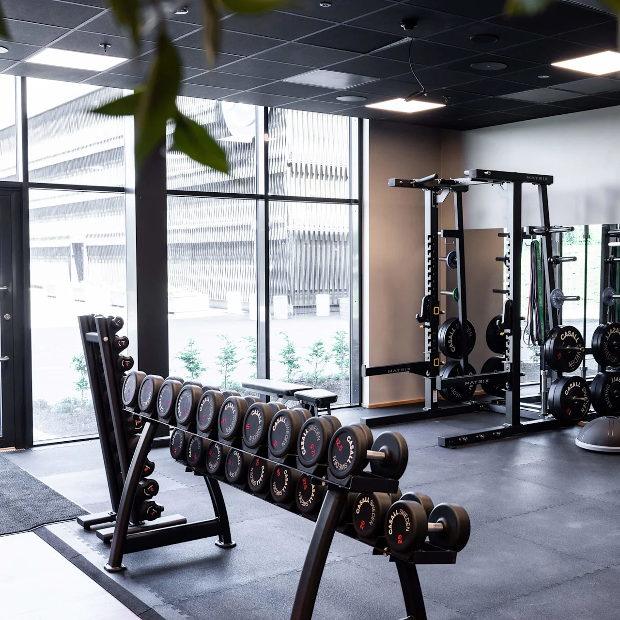 Ett välutrustat, modernt gym med olika styrketräningsmaskiner och fria vikter nära stora fönster på Lily Country Club i norska Klöfta.