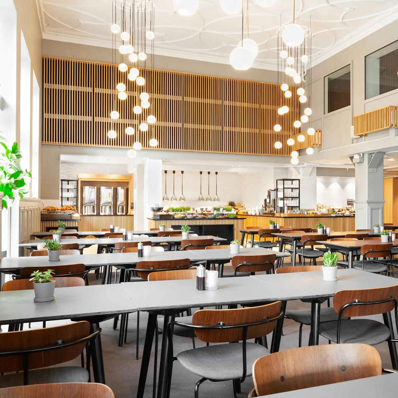 Spiseborde arrangeret i rækker, omgivet af træstole med potteplanter som midtpunkter. Lyse loftslamper oplyser en moderne, rummelig cafeteria med buffetsektor i baggrunden.